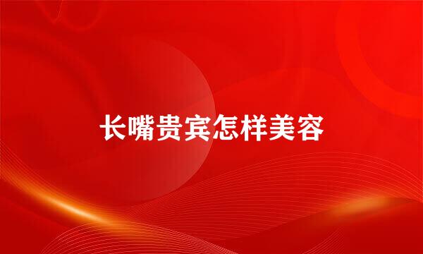 长嘴贵宾怎样美容