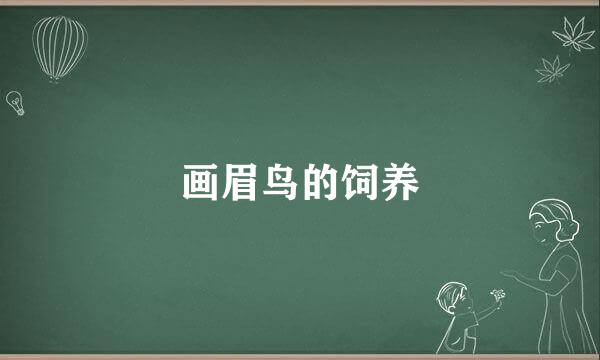 画眉鸟的饲养