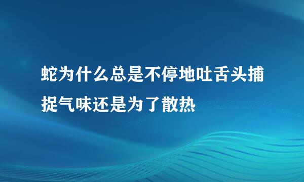蛇为什么总是不停地吐舌头捕捉气味还是为了散热