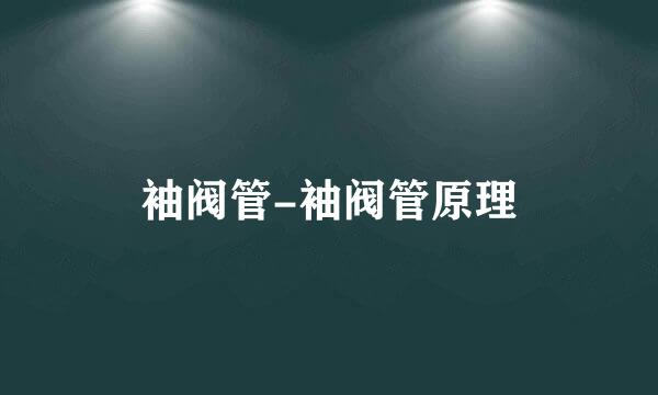 袖阀管-袖阀管原理