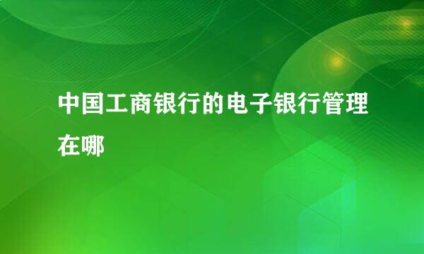 中国工商银行的电子银行管理在哪