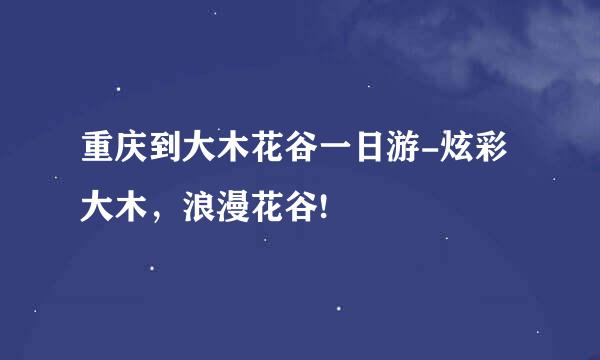 重庆到大木花谷一日游-炫彩大木，浪漫花谷!