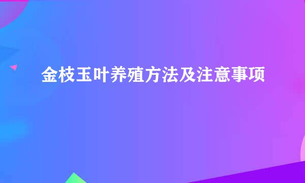 金枝玉叶养殖方法及注意事项