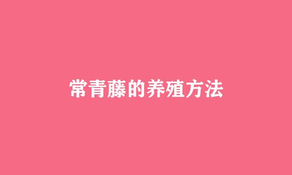 常青藤的养殖方法
