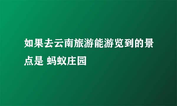 如果去云南旅游能游览到的景点是 蚂蚁庄园