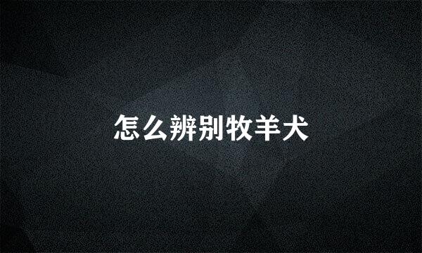 怎么辨别牧羊犬