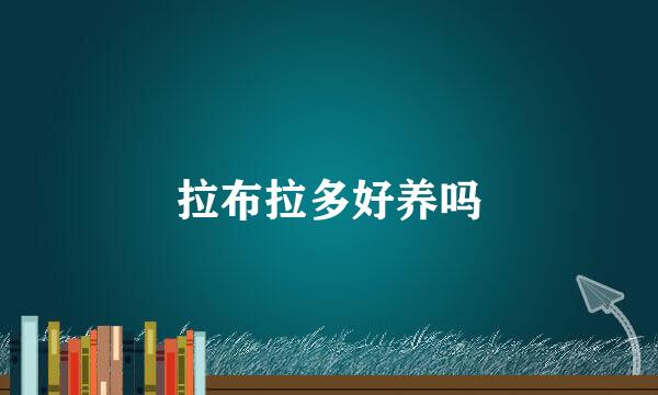 拉布拉多好养吗