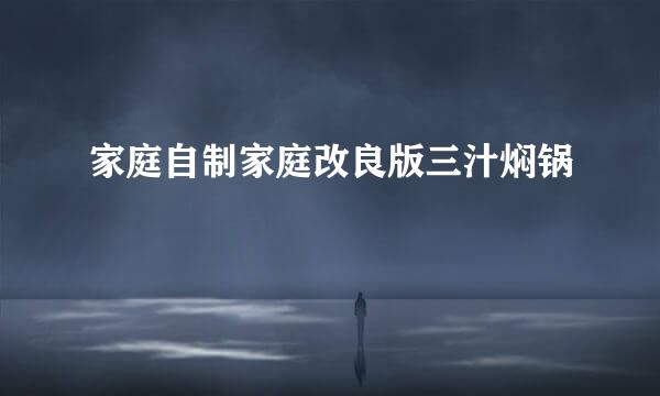 家庭自制家庭改良版三汁焖锅