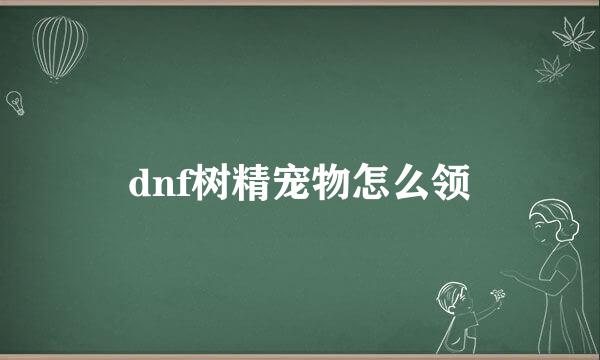 dnf树精宠物怎么领