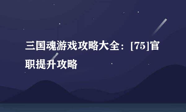 三国魂游戏攻略大全：[75]官职提升攻略