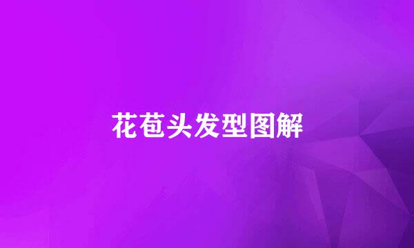 花苞头发型图解