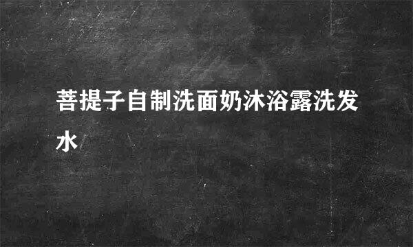 菩提子自制洗面奶沐浴露洗发水