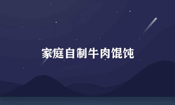 家庭自制牛肉馄饨