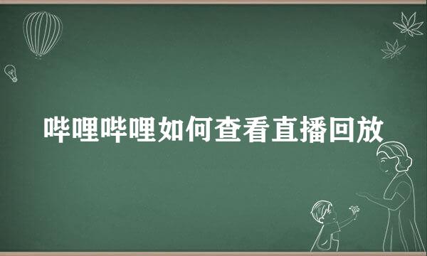 哔哩哔哩如何查看直播回放