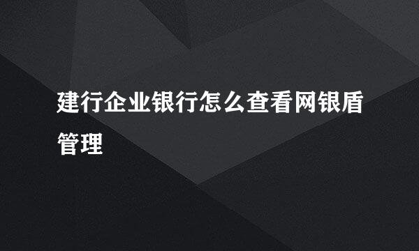 建行企业银行怎么查看网银盾管理