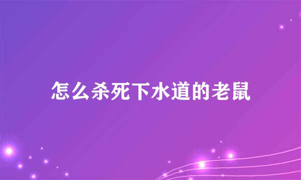 怎么杀死下水道的老鼠