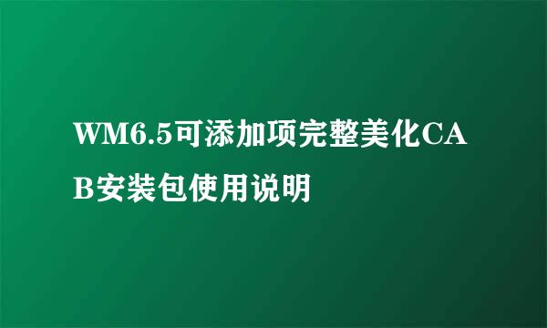 WM6.5可添加项完整美化CAB安装包使用说明