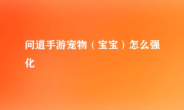 问道手游宠物（宝宝）怎么强化
