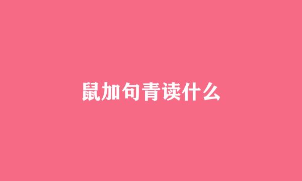 鼠加句青读什么