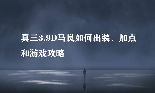 真三3.9D马良如何出装、加点和游戏攻略