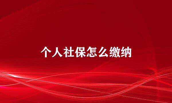 个人社保怎么缴纳