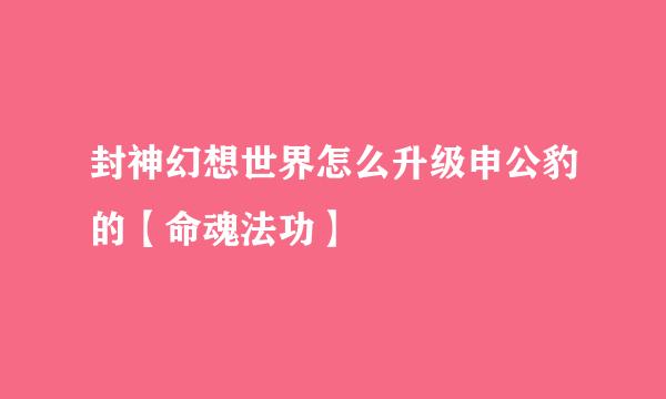 封神幻想世界怎么升级申公豹的【命魂法功】