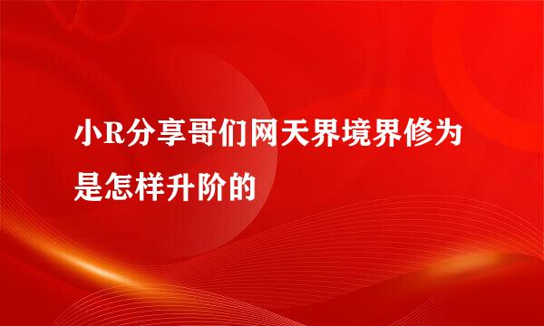 小R分享哥们网天界境界修为是怎样升阶的