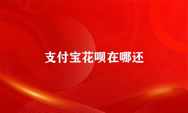 支付宝花呗在哪还