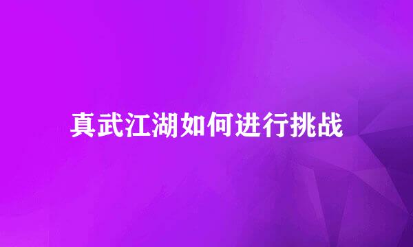 真武江湖如何进行挑战