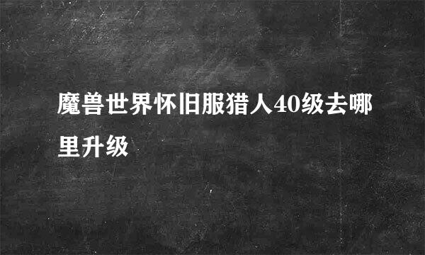 魔兽世界怀旧服猎人40级去哪里升级