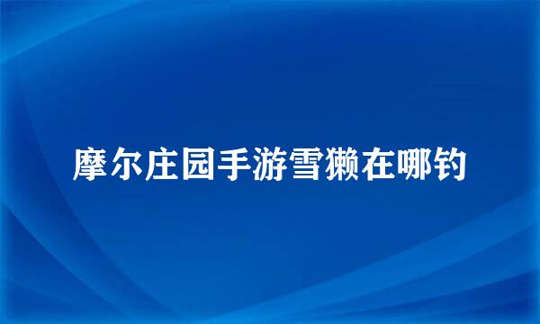 摩尔庄园手游雪獭在哪钓