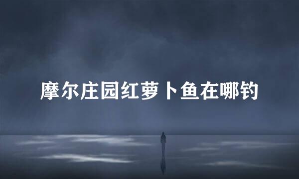 摩尔庄园红萝卜鱼在哪钓
