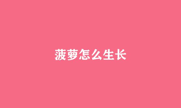 菠萝怎么生长