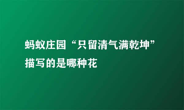 蚂蚁庄园“只留清气满乾坤”描写的是哪种花