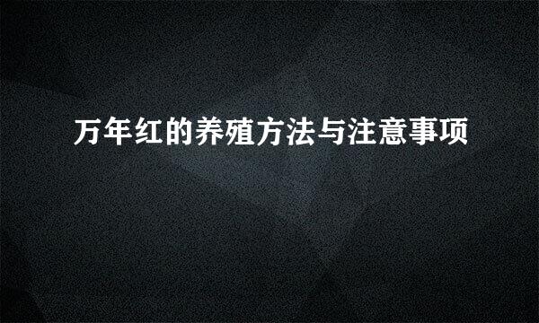 万年红的养殖方法与注意事项