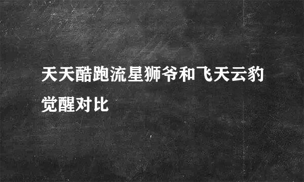 天天酷跑流星狮爷和飞天云豹觉醒对比