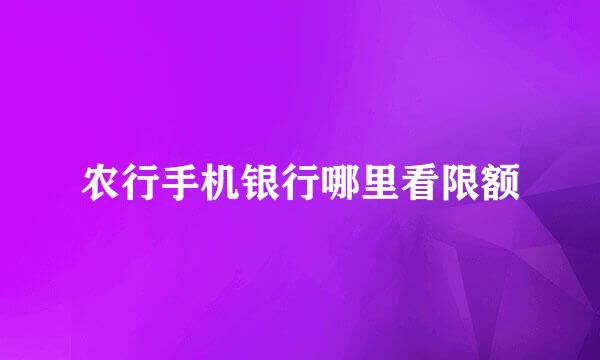 农行手机银行哪里看限额