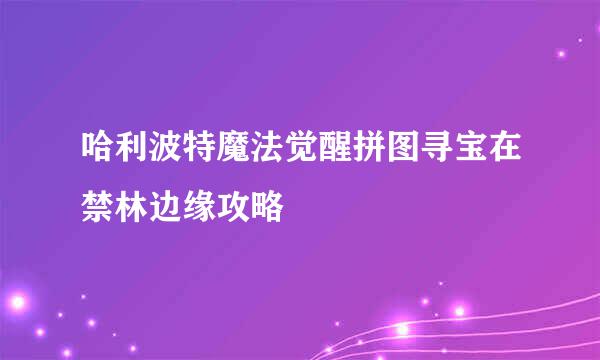 哈利波特魔法觉醒拼图寻宝在禁林边缘攻略