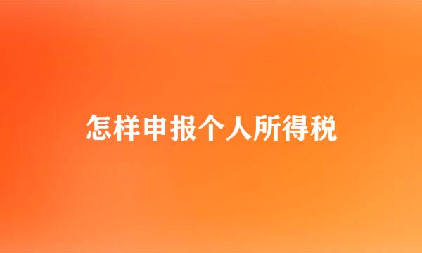 怎样申报个人所得税