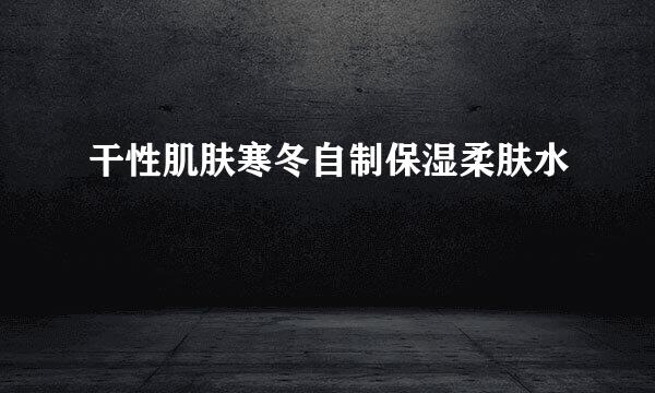 干性肌肤寒冬自制保湿柔肤水