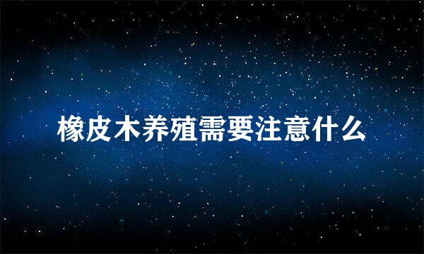 橡皮木养殖需要注意什么