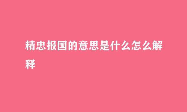 精忠报国的意思是什么怎么解释