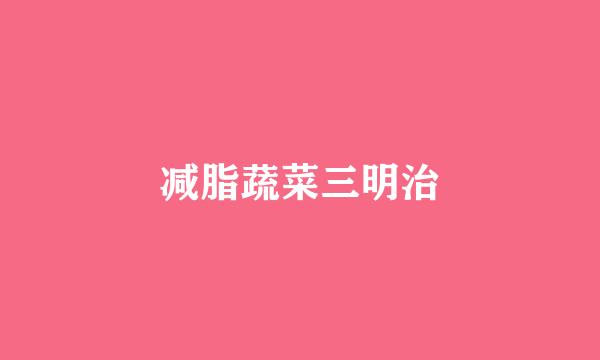 减脂蔬菜三明治