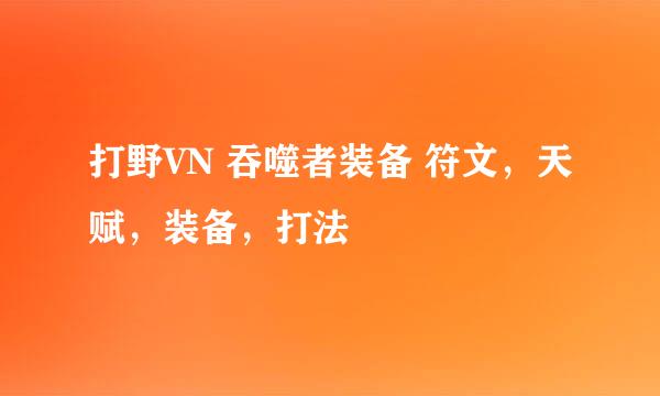 打野VN 吞噬者装备 符文，天赋，装备，打法