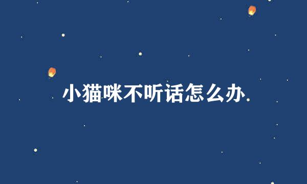小猫咪不听话怎么办