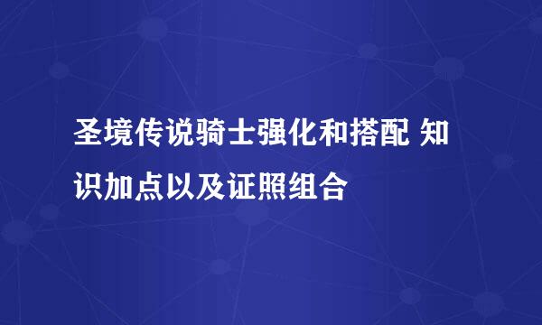 圣境传说骑士强化和搭配 知识加点以及证照组合