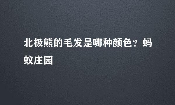 北极熊的毛发是哪种颜色？蚂蚁庄园