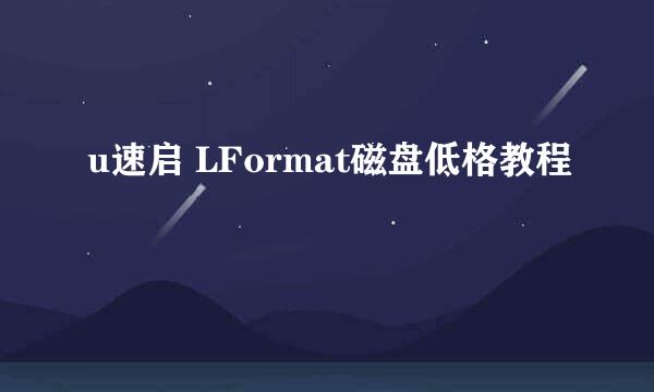 u速启 LFormat磁盘低格教程