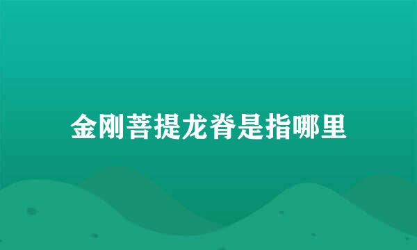 金刚菩提龙脊是指哪里