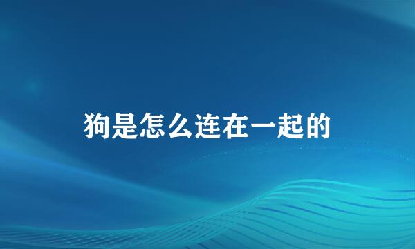 狗是怎么连在一起的